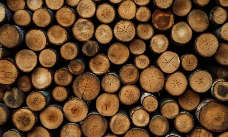 PRIMO MEETING DEL PROGETTO GOOD3W